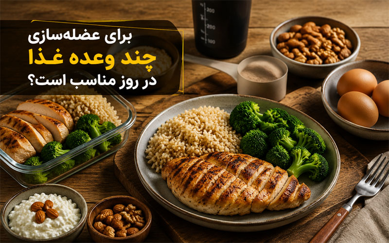 تعداد وعده‌های غذایی مناسب برای عضله‌سازی
