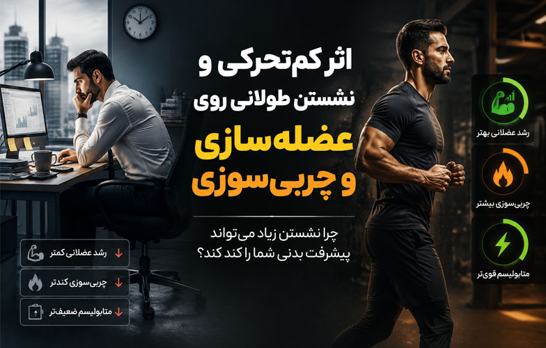 اثر کم‌تحرکی و نشستن طولانی روی عضله‌سازی و چربی‌سوزی