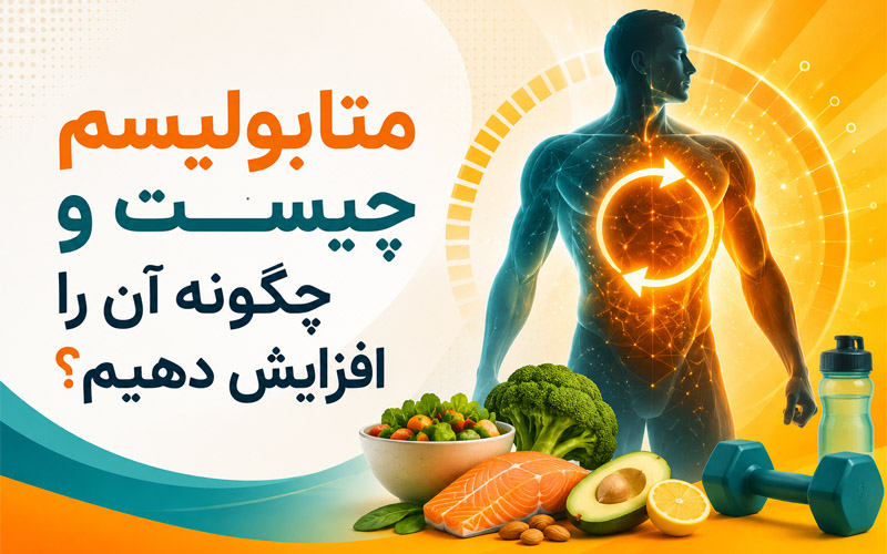 متابولیسم چیست و چگونه آن را افزایش دهیم؟